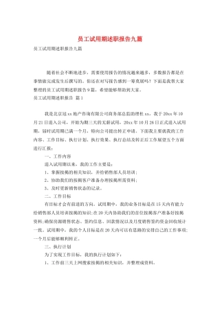 员工试用期述职报告九篇