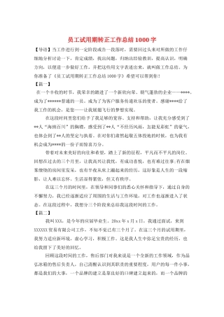 员工试用期转正工作总结1000字