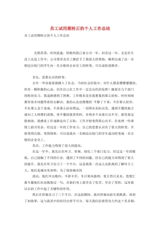 员工试用期转正的个人工作总结