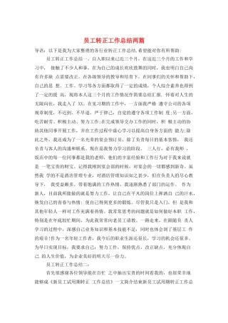 员工转正工作总结两篇