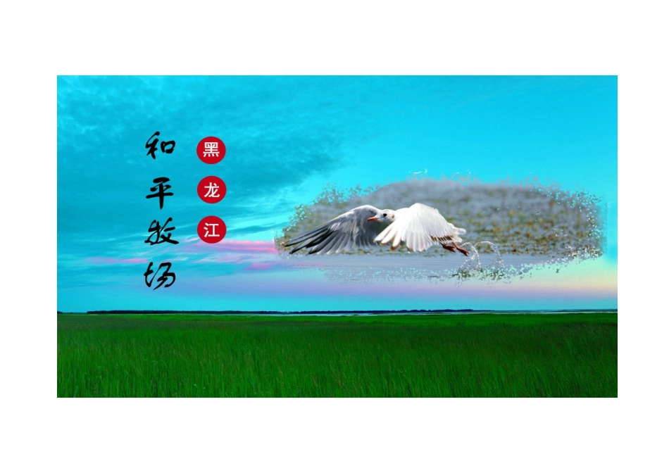 和平牧场旅游规划设计_第3页