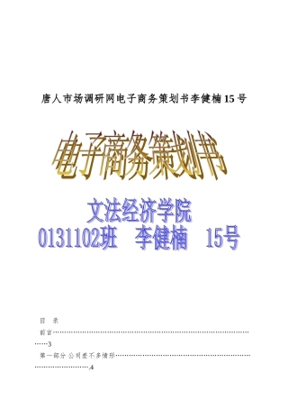唐人市场调研网电子商务策划书李健楠15号