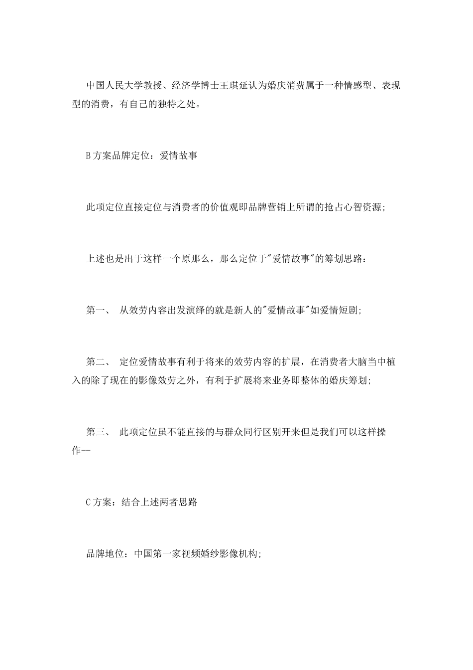商业品牌策划书模板_第3页