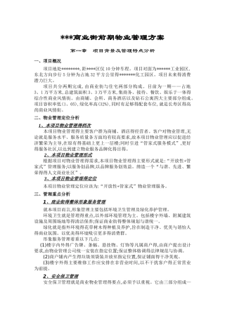 商业街前期物业管理方案1