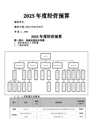 商管公司2025年度经营预算