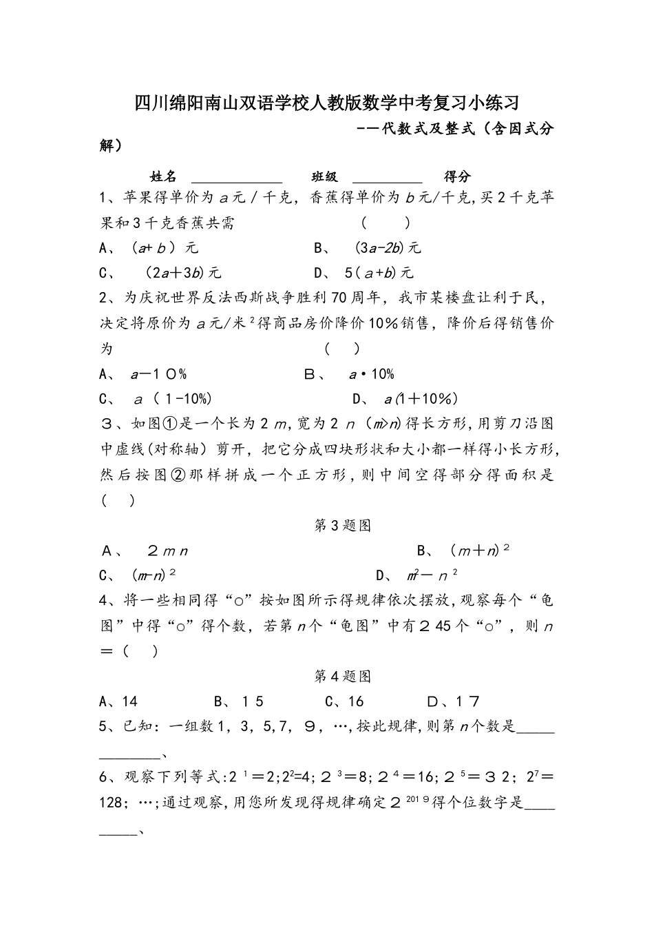 四川绵阳南山双语学校人教版数学中考复习小练习 代数式及整式（含因式分解）_第1页