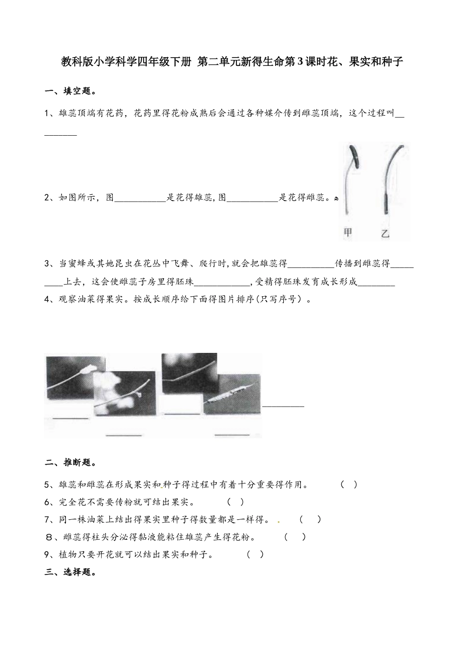 四年级下册科学一课一练第二单元新的生命第3课时花果实和种子∣教科版_第1页