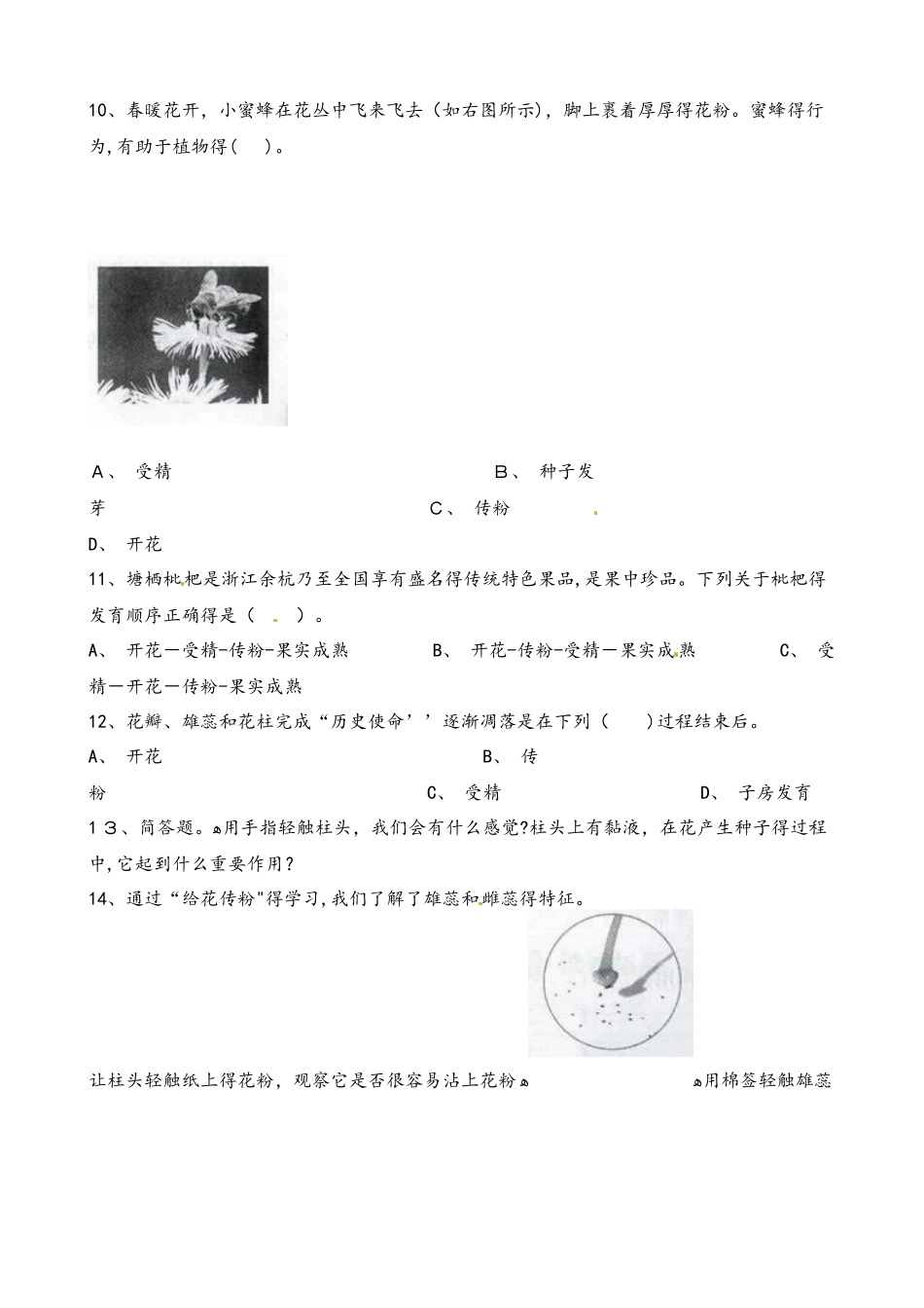 四年级下册科学一课一练第二单元新的生命第3课时花果实和种子∣教科版_第2页