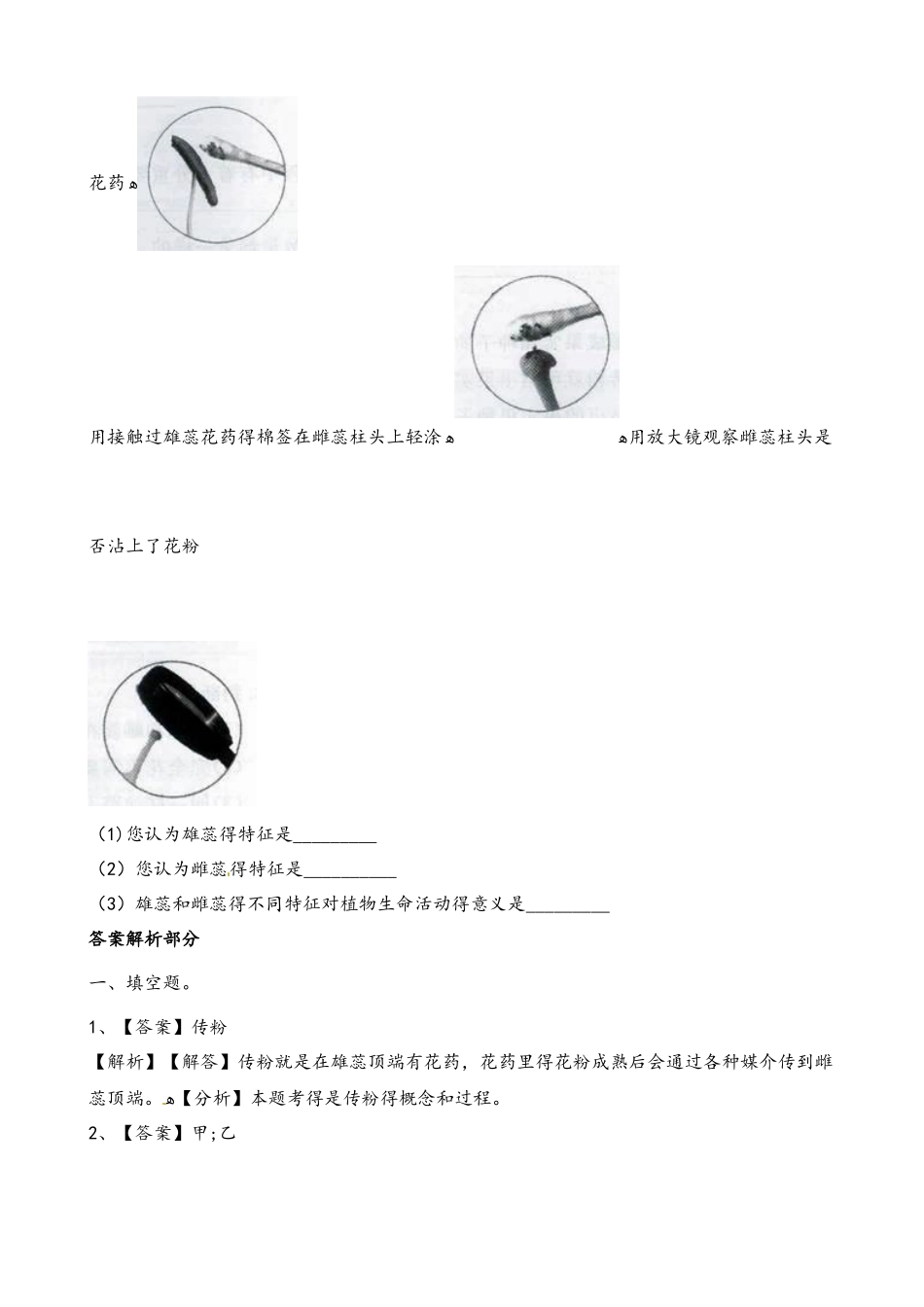 四年级下册科学一课一练第二单元新的生命第3课时花果实和种子∣教科版_第3页