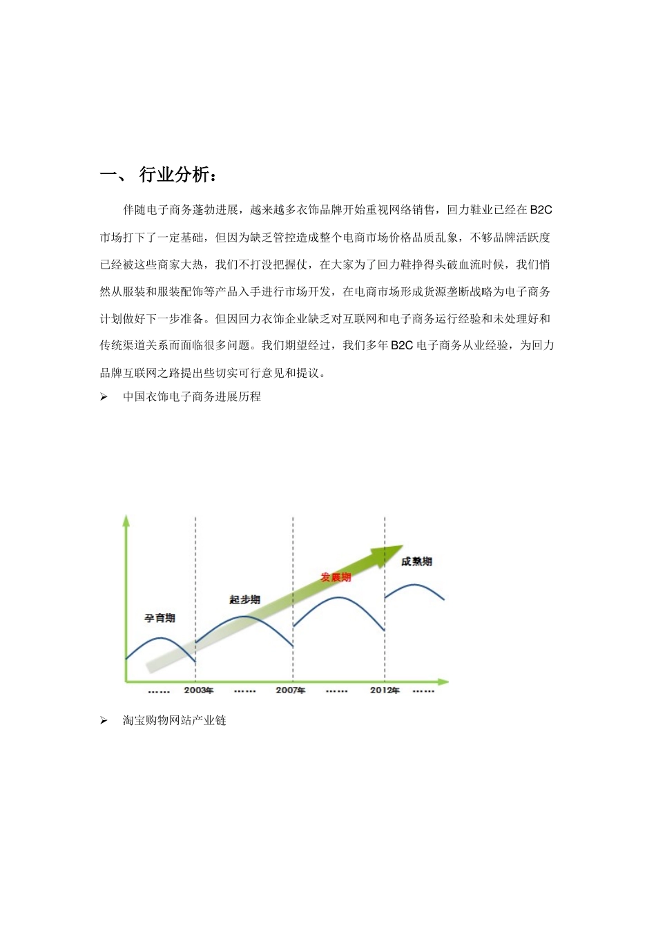 回力电子商务网站运营专项方案_第3页