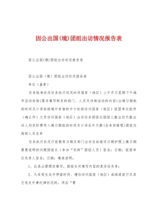 因公出国团组出访情况报告表