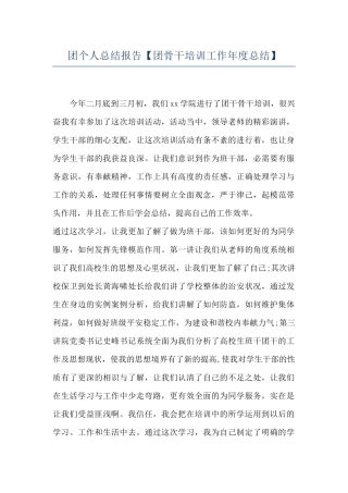 团个人总结报告