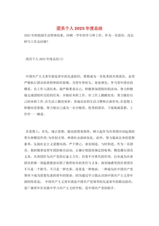 团员个人2025年度总结
