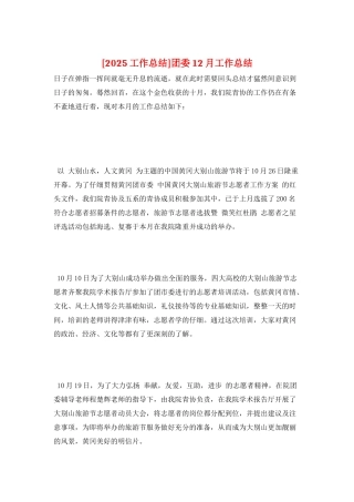 团委12月工作总结