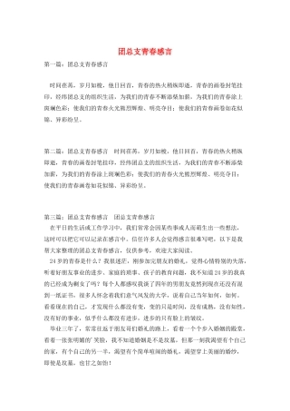 团总支青春感言