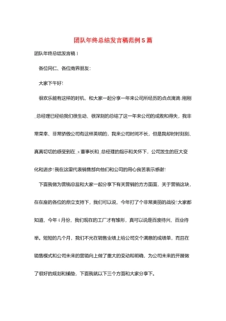 团队年终总结发言稿范例5篇