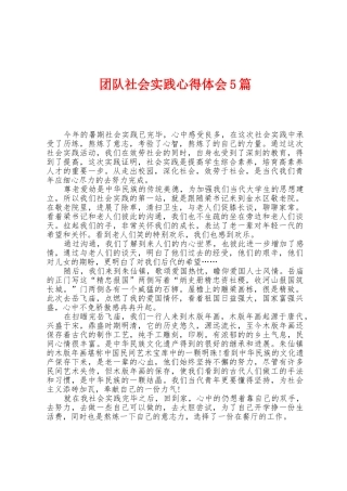 团队社会实践心得体会5篇