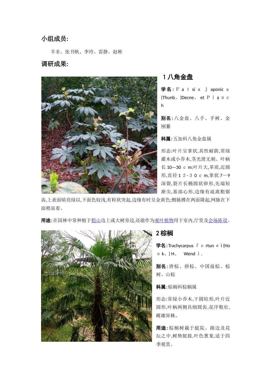 园林植物调研报告_第2页
