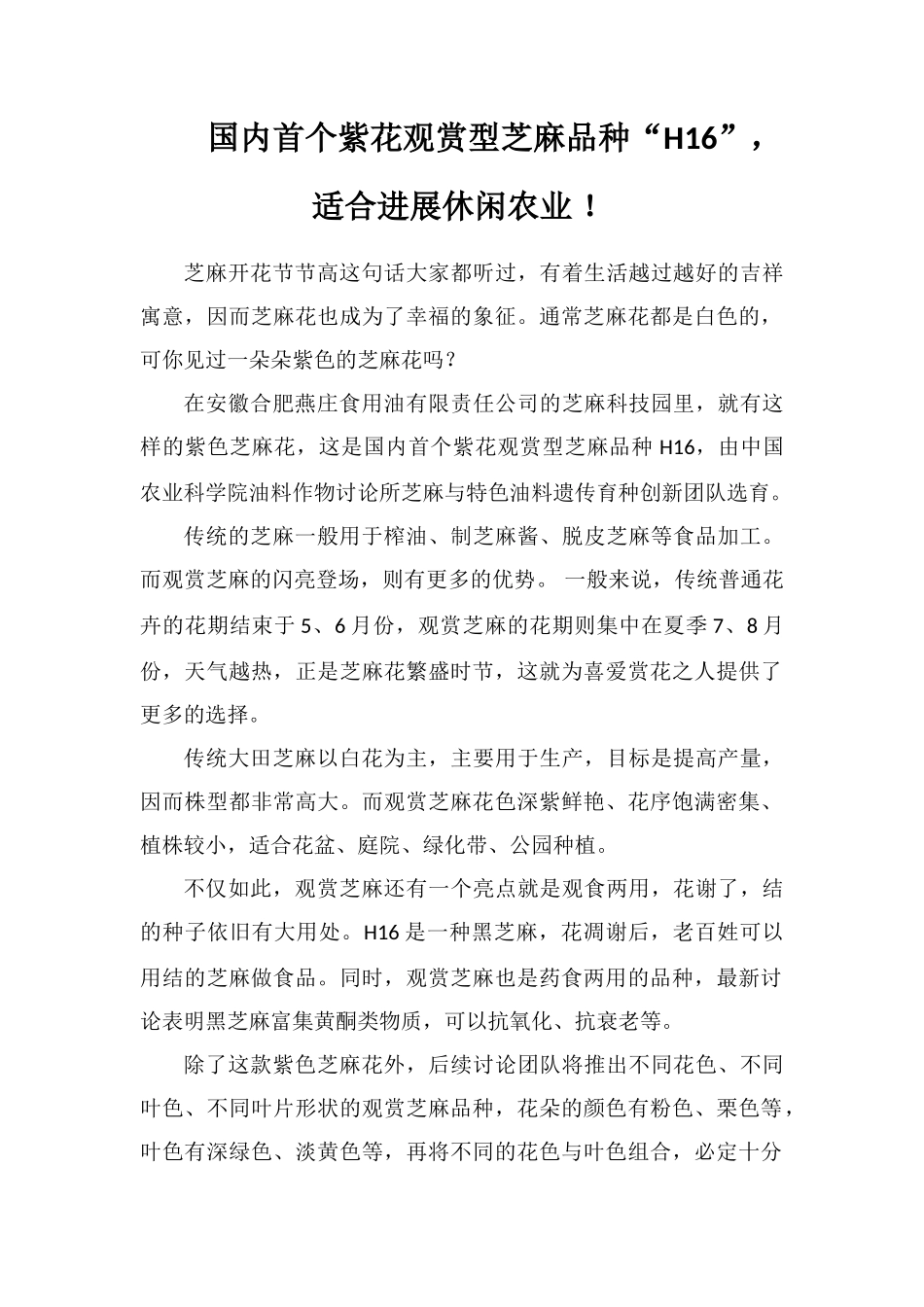 国内首个紫花观赏型芝麻品种“H16”-适合发展休闲农业!_第1页