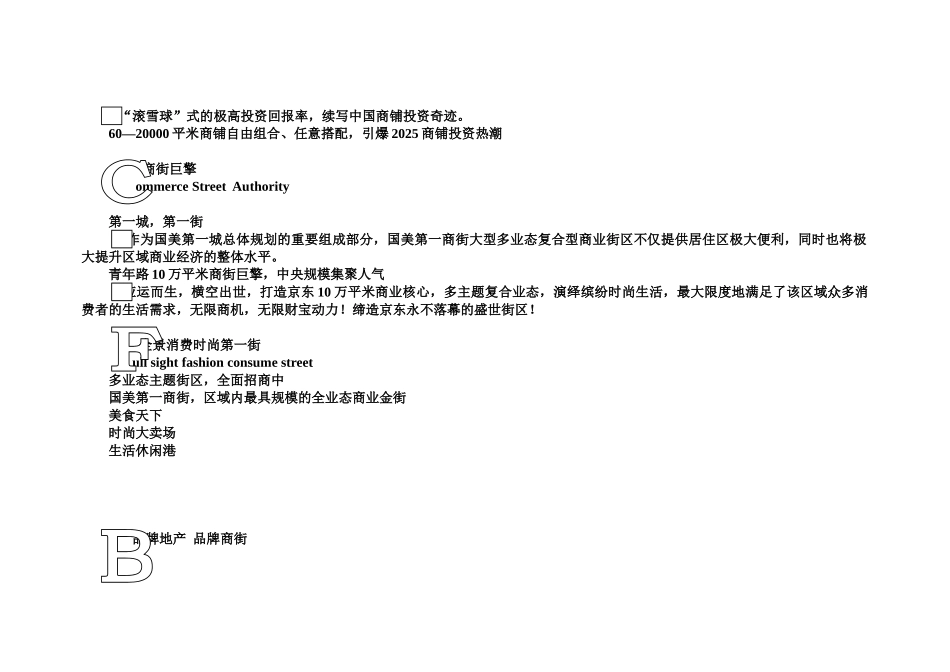 国美第一商街招商手册_第3页