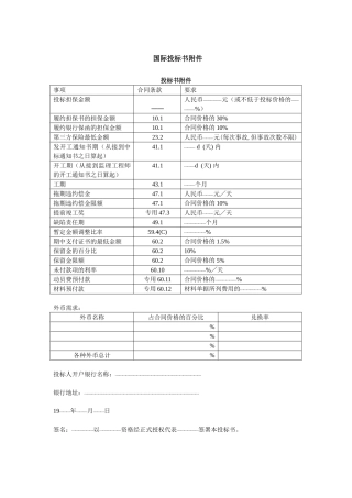 国际投标书附件