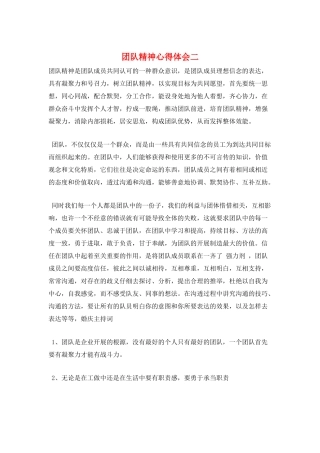 团队精神心得体会二