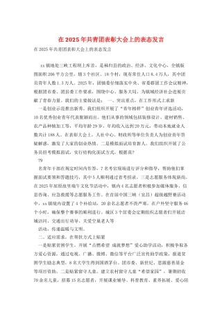在2025年共青团表彰大会上的表态发言
