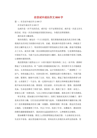 在尝试中成长作文800字