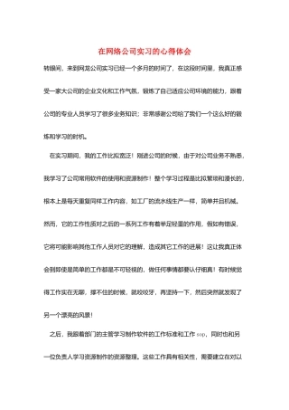 在网络公司实习的心得体会