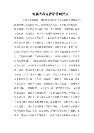地膜大蒜返青期管理要点