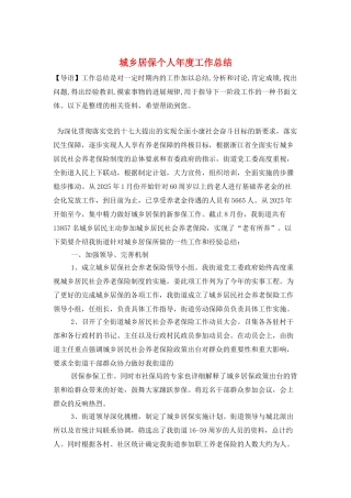 城乡居保个人年度工作总结