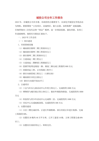 城投公司全年工作报告
