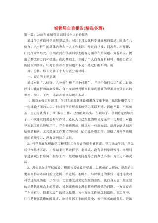 城管局自查报告