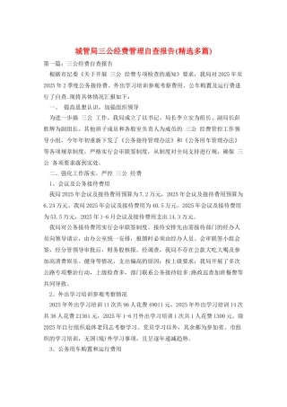 城管局三公经费管理自查报告