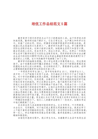 培优工作总结范文5篇