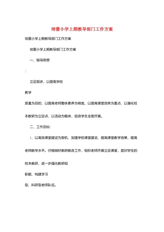 培蕾小学上期教导部门工作计划