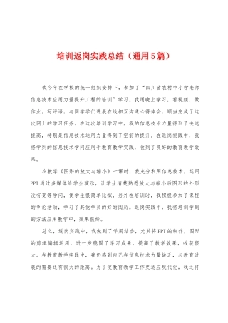 培训返岗实践总结