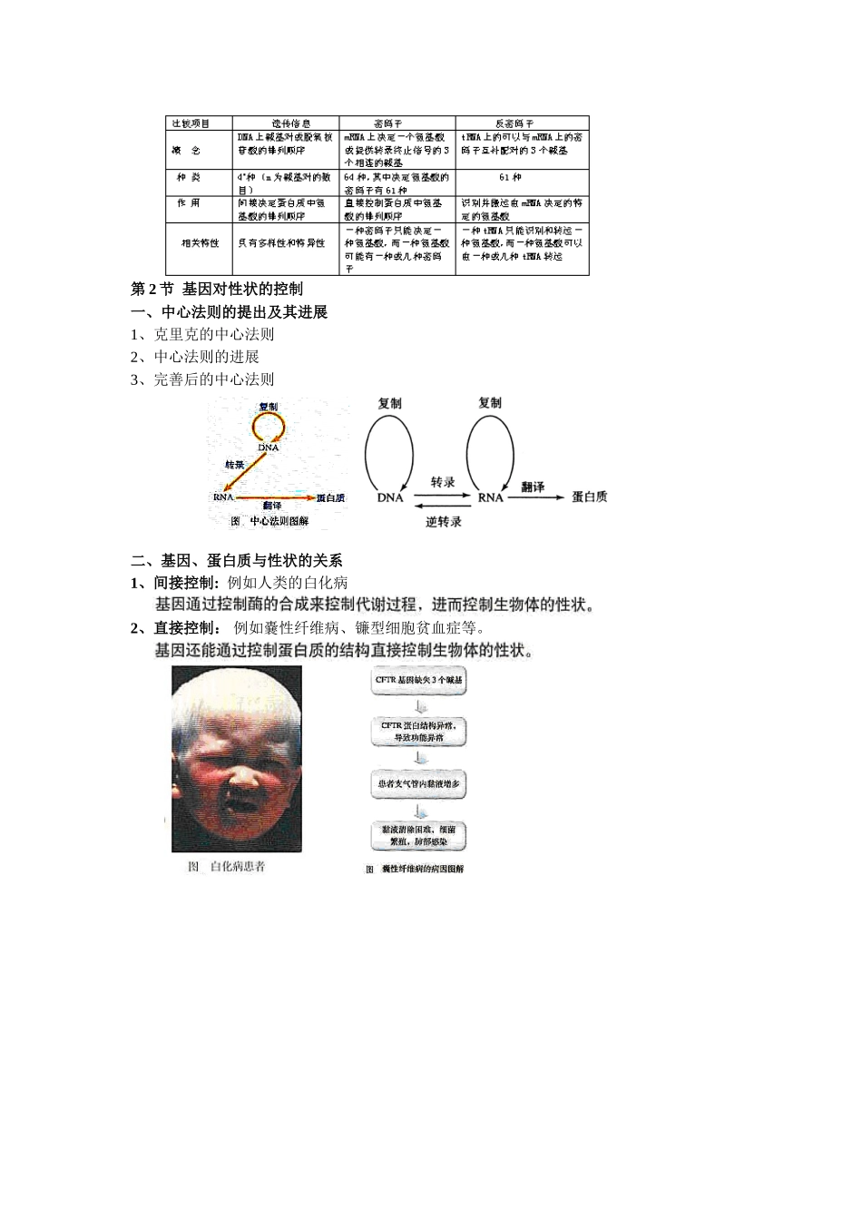 基因对性状的控制复习教案2_第3页