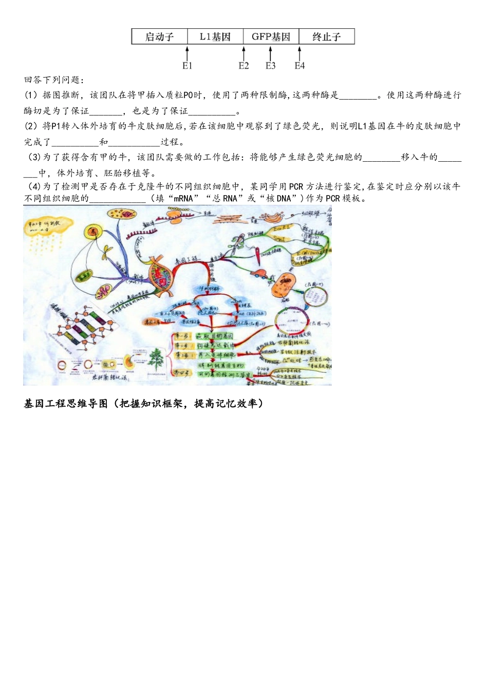 基因工程专题复习讲义_第3页