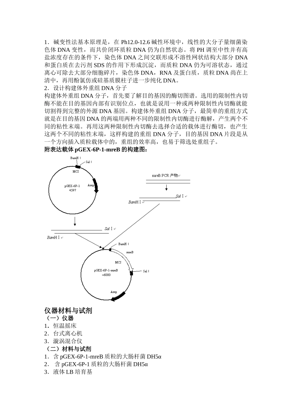 基因工程实验教学教案_第2页