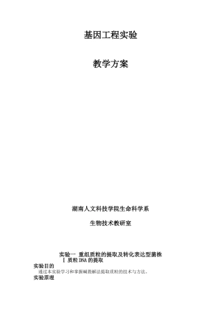 基因工程实验教学教案