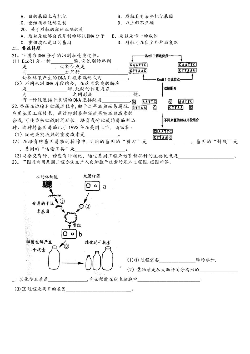 基因工程的基本工具练习题_第3页