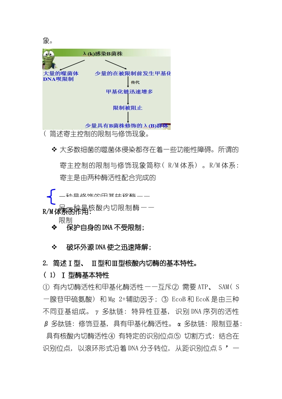 基因工程知识要点样本_第2页