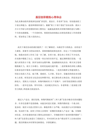 基层挂职锻炼心得体会