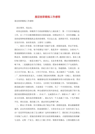 基层挂职锻炼工作感悟