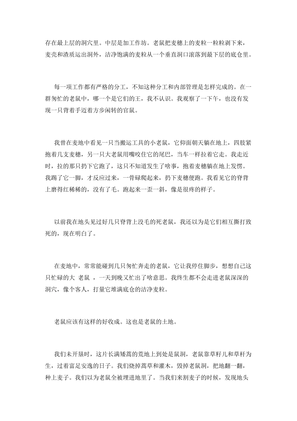 塔鲁镇的复制生活_第3页