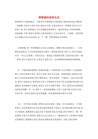 塔鲁镇的复制生活