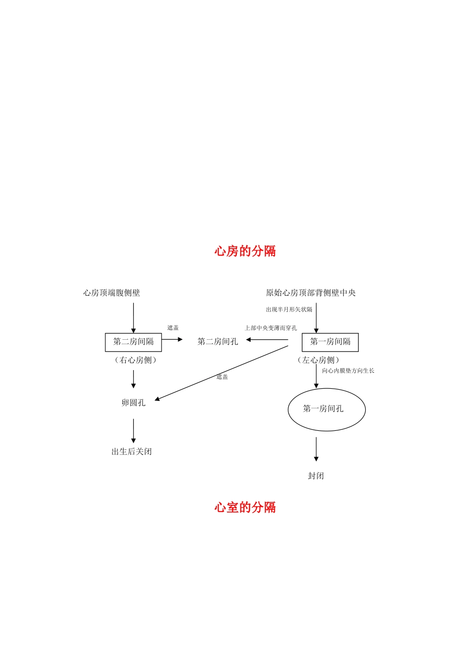 复习：心血管系统的发生_第2页