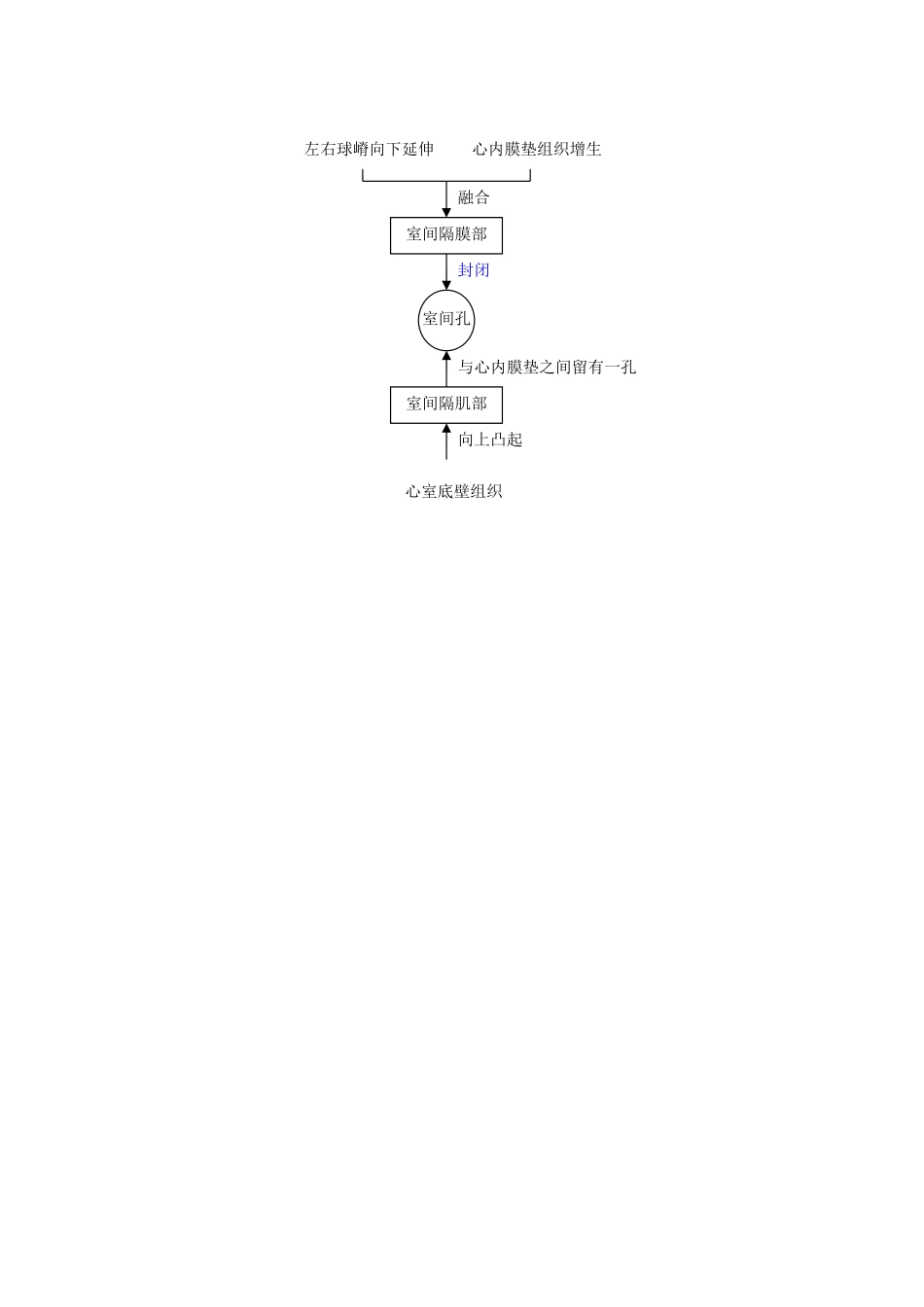 复习：心血管系统的发生_第3页