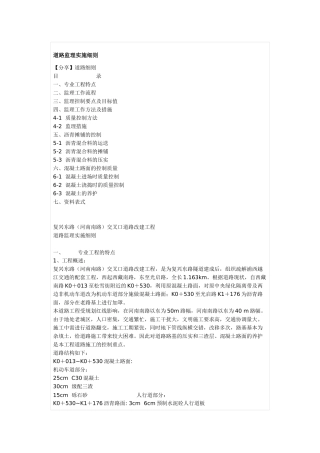 复兴东路（河南南路）交叉口道路改建工程